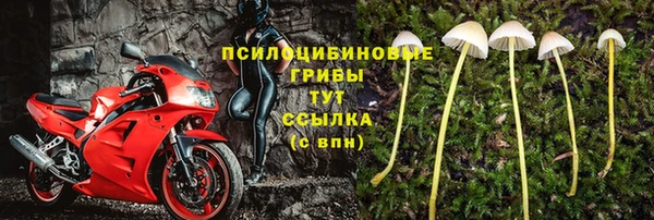 ГАЛЛЮЦИНОГЕННЫЕ ГРИБЫ Алзамай