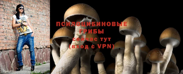 гашик Абдулино